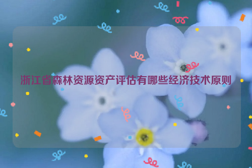 浙江省森林資源資產評估有哪些經濟技術原則