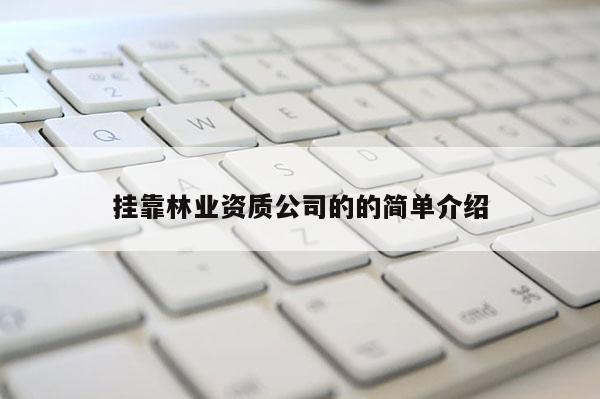 掛靠林業資質公司的的簡單介紹