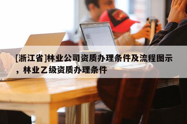 [浙江省]林業(yè)公司資質(zhì)辦理?xiàng)l件及流程圖示，林業(yè)乙級(jí)資質(zhì)辦理?xiàng)l件