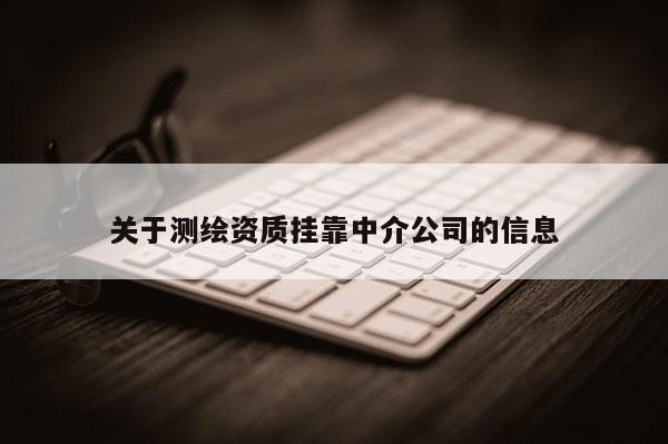 關于測繪資質掛靠中介公司的信息