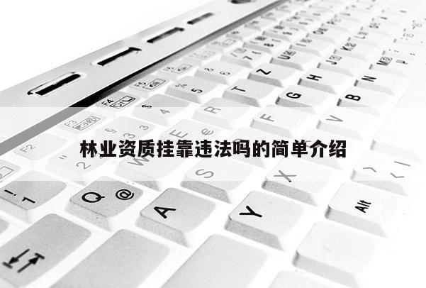 林業資質掛靠違法嗎的簡單介紹
