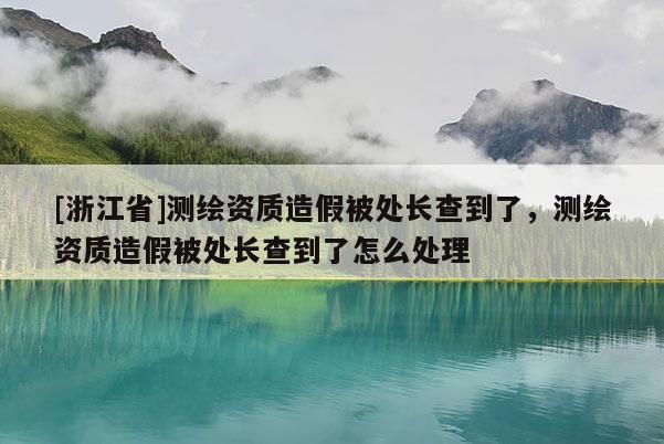 [浙江省]測繪資質(zhì)造假被處長查到了，測繪資質(zhì)造假被處長查到了怎么處理