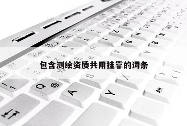 包含測繪資質共用掛靠的詞條