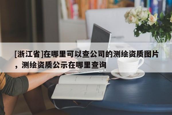 [浙江省]在哪里可以查公司的測(cè)繪資質(zhì)圖片，測(cè)繪資質(zhì)公示在哪里查詢