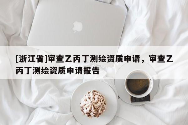 [浙江省]審查乙丙丁測繪資質申請，審查乙丙丁測繪資質申請報告